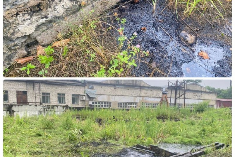 Тематическое фото природоохранная  прокуратура