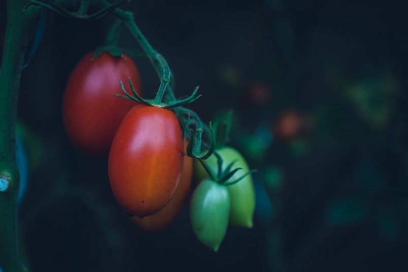 Тематическое фото unsplash.com (18+)
