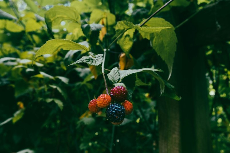 Тематическое фото unsplash.com (18+)