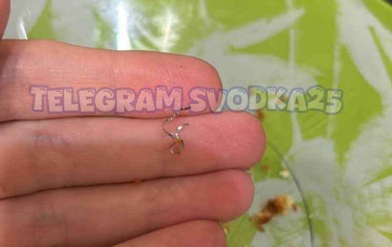 Тематическое фото Tg-канал &quotSvodka25" (18+)