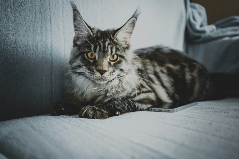 Тематическое фото unsplash.com (18+)
