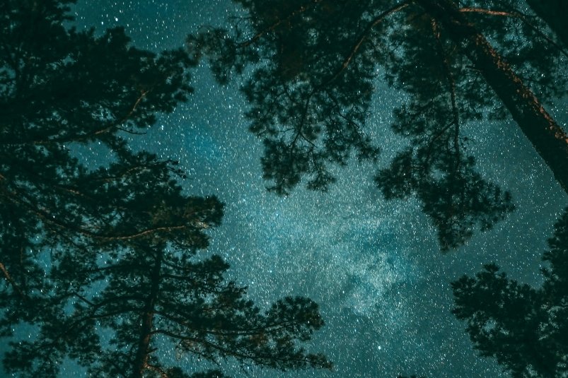 Звездное небо unsplash.com / Tyler Domingue