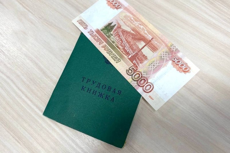 Тематическое фото Валерия Панфилова, ИА PrimaMedia