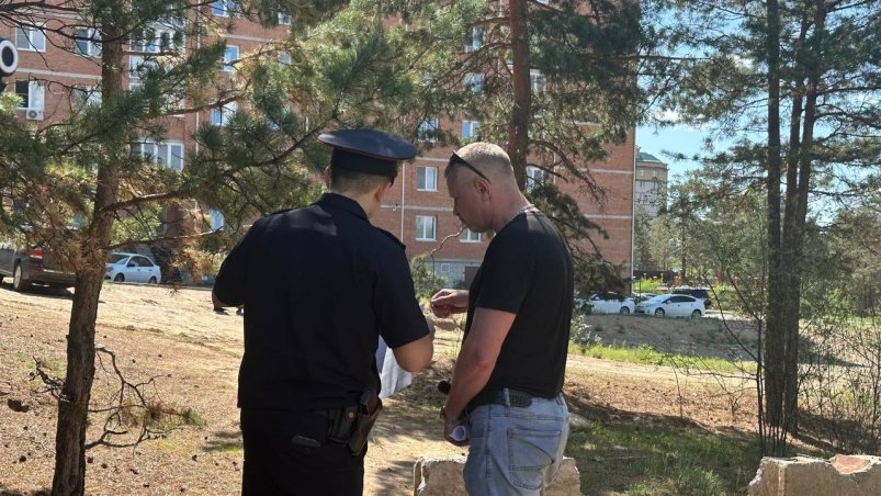 Полиция на встрече читинцев по сохранению леса Анастасия Москалёва, ИА ChitaMedia