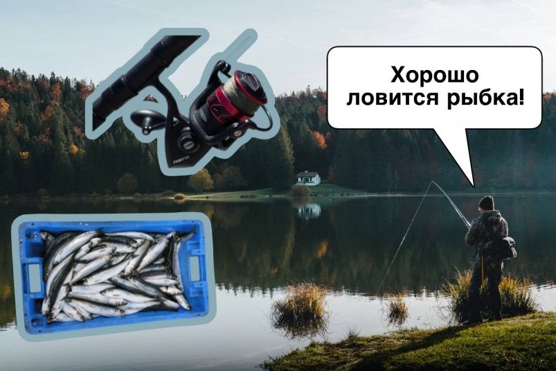 Рыбалка, удочка, рыба Коллаж unsplash.com