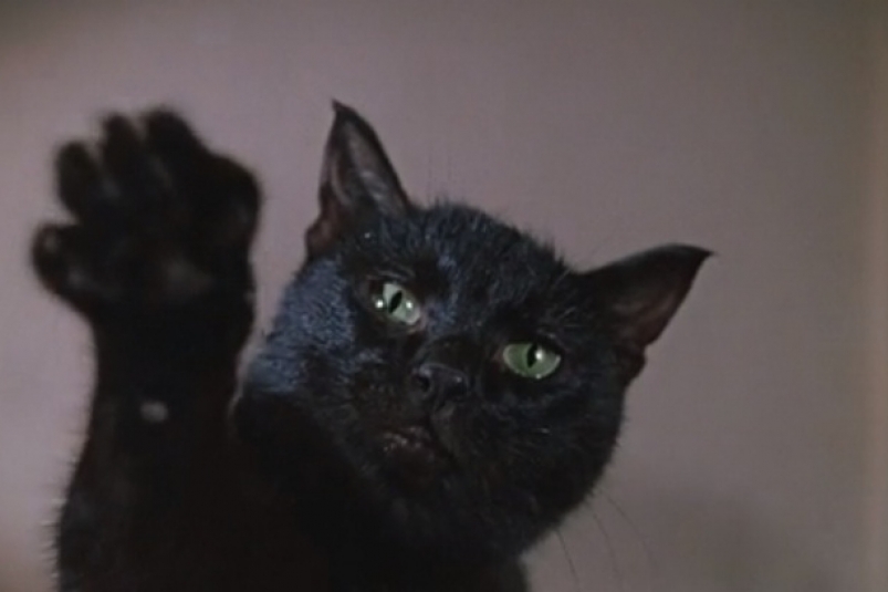 Сможете отгадать советский фильм по последнему кадру Скриншот фильма (12+)