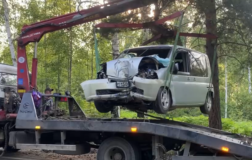 73-летний водитель Honda врезался в дерево и погиб в Ангарске Пресс-служба УМВД России по АГО