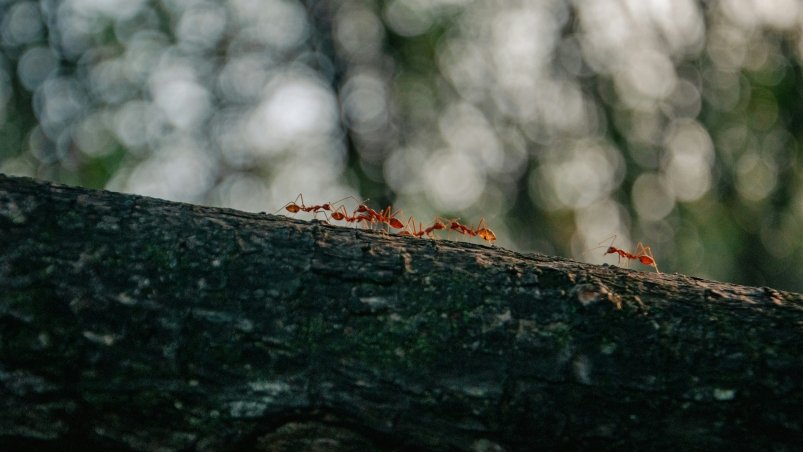 Тематическое фото unsplash.com (18+)