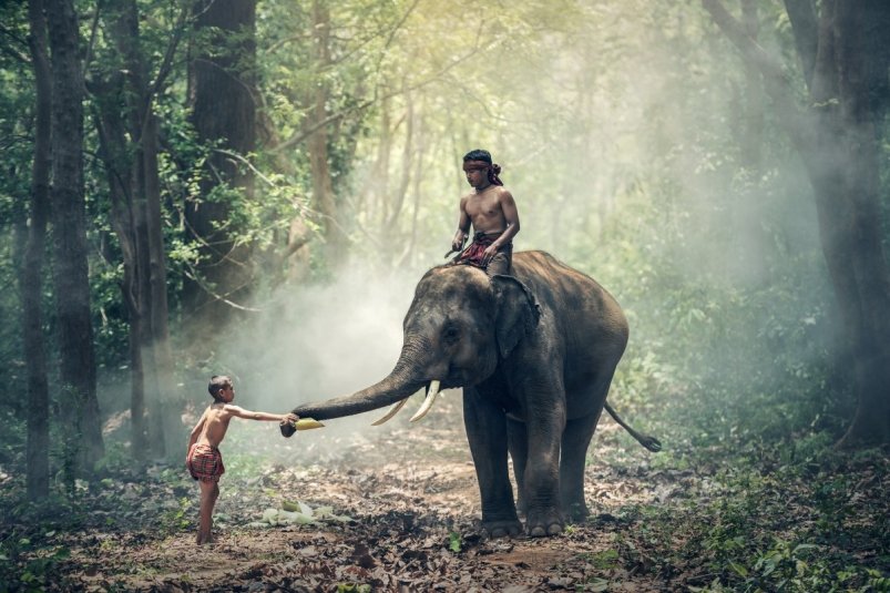В Таиланде борются с розовым лишаем Photo by form PxHere