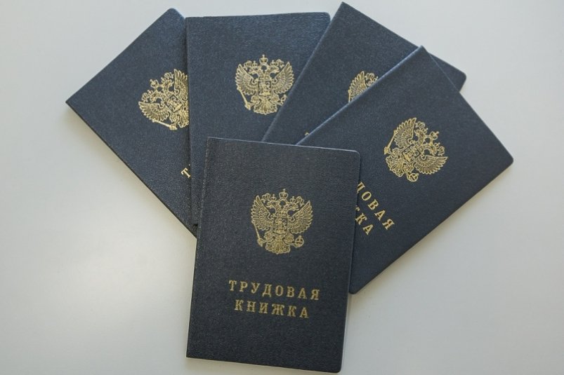 Банк вакансий Дона предлагает более 40 тысяч рабочих мест Антон Балашов