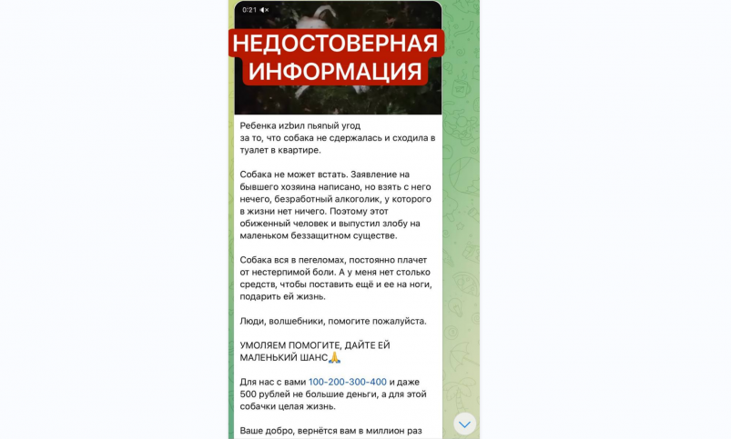Фейковый пост с видео о страдающей собаке в Ангарске и сборе денег появился в сети Пресс-служба ГУ МВД России по региону