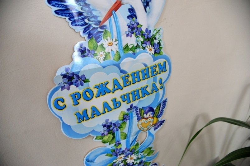 Третья тройня выписана в этом году из областного перинатального центра на Дону Юрий Гуршал
