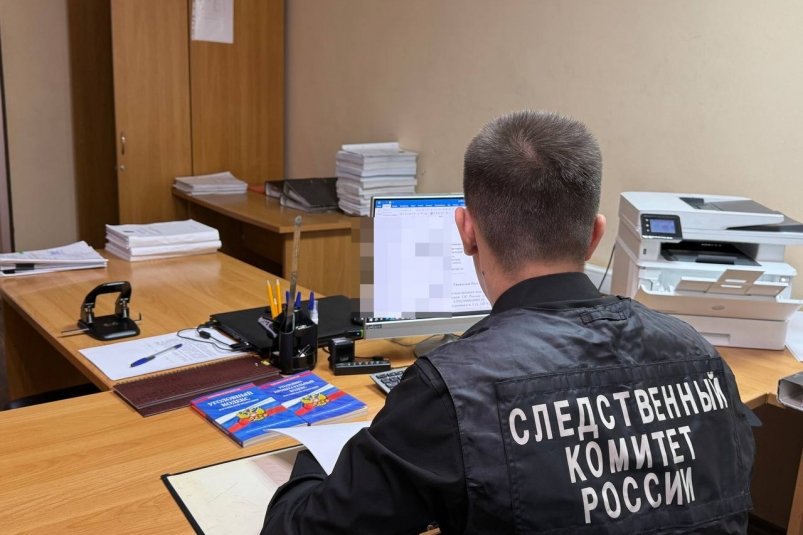 Женщина с Камчатки год получала "детские" не живя с детьми Пресс-служба СУ СК России по Камчатскому краю