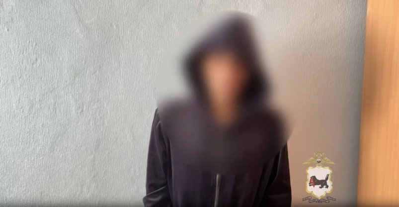 В Иркутске задержали подозреваемого в серии краж у местных жительниц Пресс-служба ГУ МВД России по региону