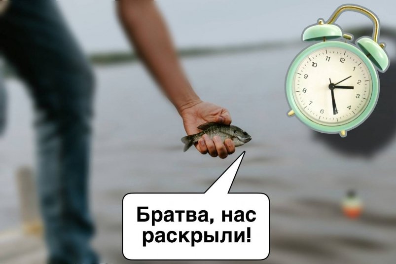 Рыбалка, рыба, будильник, часы Коллаж на основе unsplash.com