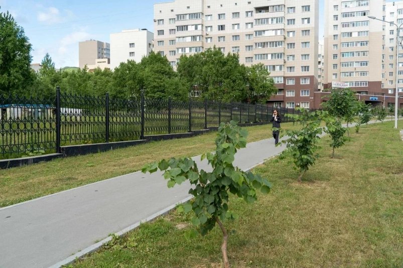 "Аллея счастливого материнства" появится в Южно-Сахалинске пресс-служба администрации Южно-Сахалинска