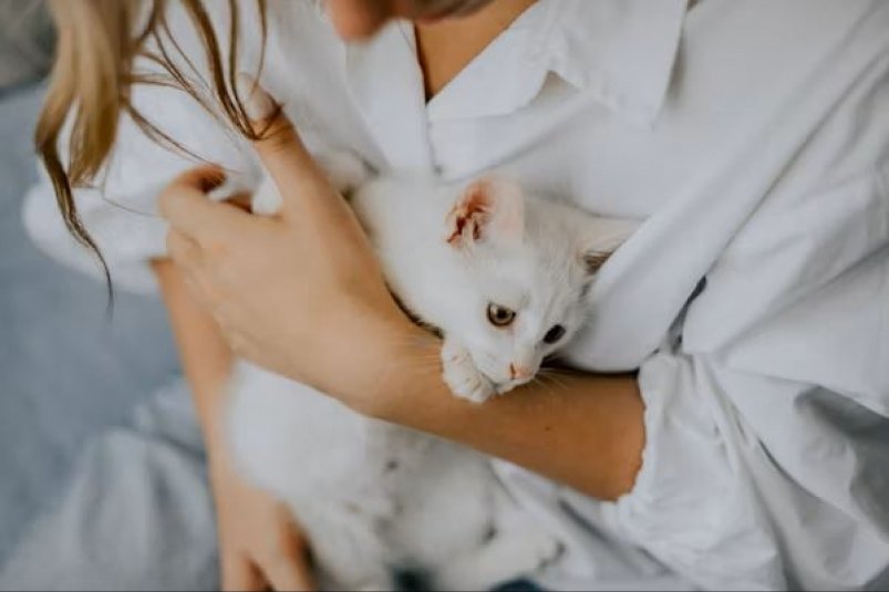 Тематическое фото Unsplash.com