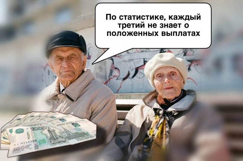 Пенсионеры, деньги Коллаж ИА StolicaMedia и unsplash.com