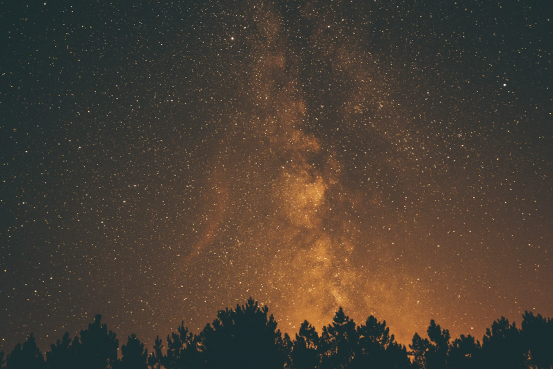 Тематическое фото https://unsplash.com/