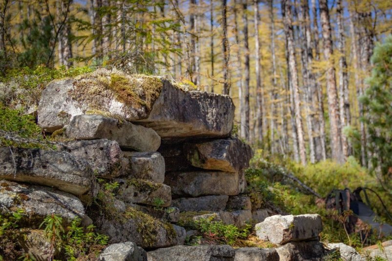 Дольмены - древние погребальные и культовые сооружения телеграм-канал "Заповедник Буреинский" (18+)