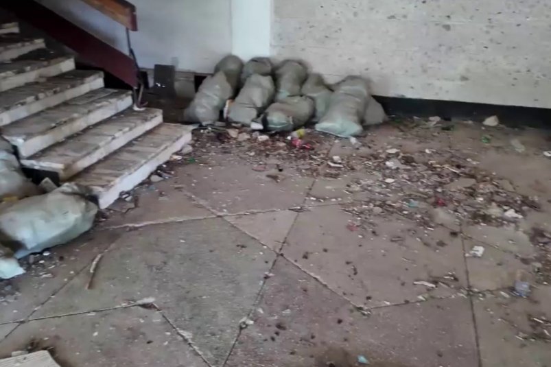 Кадр из видео Соцсети ОНФ Крыма