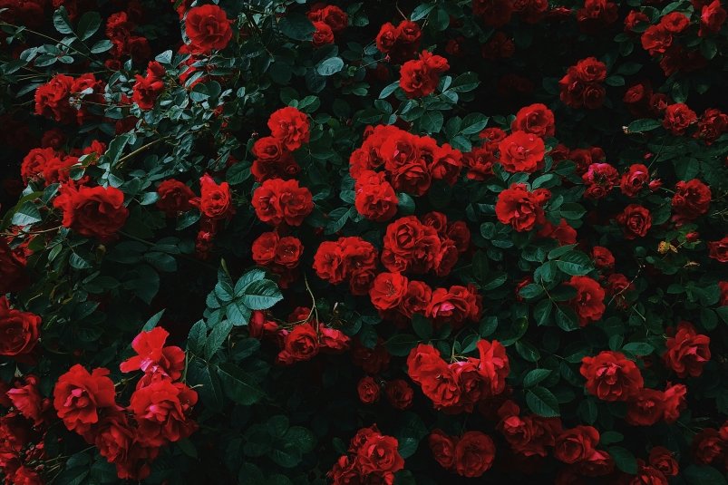 Тематическое фото unsplash.com (18+)