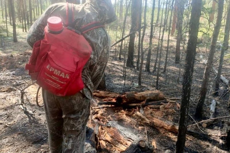 Тушение лесного пожара РАЛХ