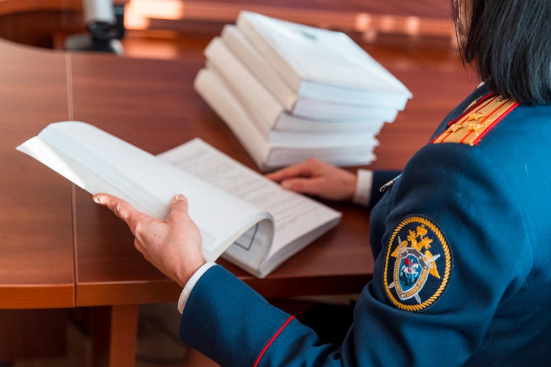 Директор предприятия в Якутии пойдёт под суд за сокрытие денег от налоговой Илья Аверьянов, ИА PrimaMedia