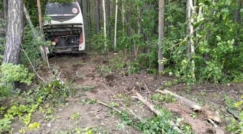 ДТП отдел пропаганды УГИБДД по региону