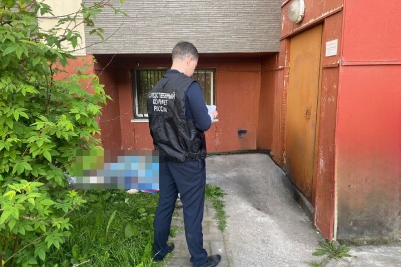 В Петропавловске-Камчатском мужчина погиб, выпав из окна многоэтажки Пресс-служба СУ СК России по Камчатскому краю