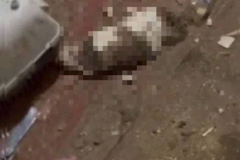Фото очевидцев тг-канал &quoturist_pomosh" (18+)