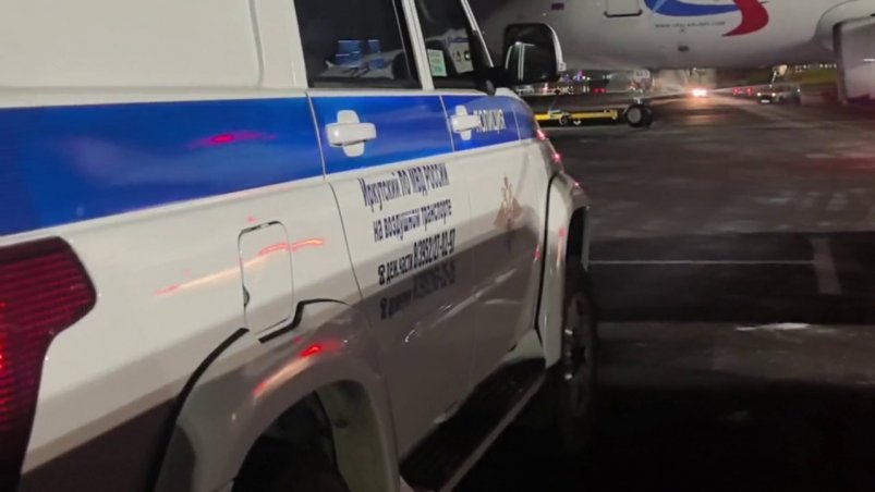Трое пассажиров сняты с рейса в Иркутске за дебош на борту самолёта Пресс-служба Восточно-Сибирского ЛУ МВД России на транспорте 