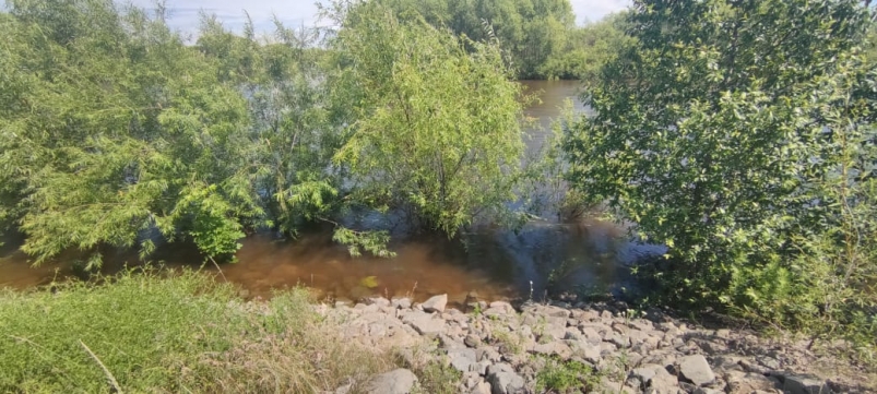 Паводок, наводнение, река, вода Марина  Померанцева , ИА EAOMedia