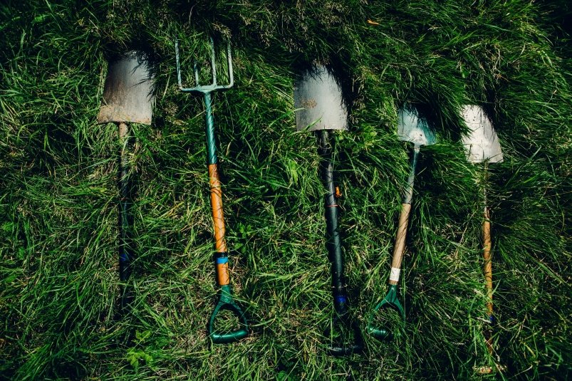 Тематическое фото unsplash.com