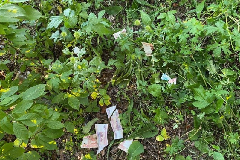 В Бохане юноша порвал и выбросил в кусты украденные у пенсионерки деньги Пресс-служба ГУ МВД России по региону
