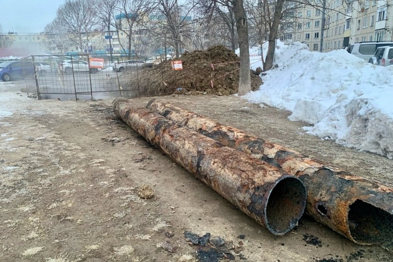 Тематическое фото Анастасия Александрова, ИА SakhalinMedia