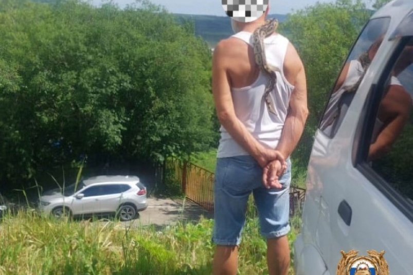Житель Камчатки приехал жаловаться на лишение прав пьяным со змеей Пресс-служба Госавтоинспекции Камчатского края