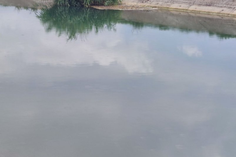 На платный вход к водоёму пожаловались жители Верхнерусского ИА Stavropol.Media