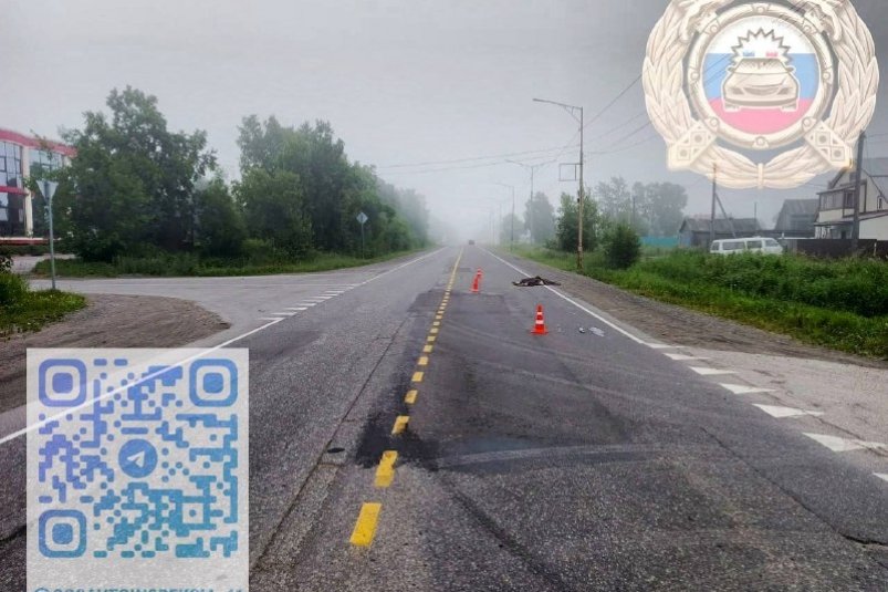 Полиция разыскивает данные о погибшем пешеходе в Елизове Пресс-служба Госавтоинспекции Камчатского края