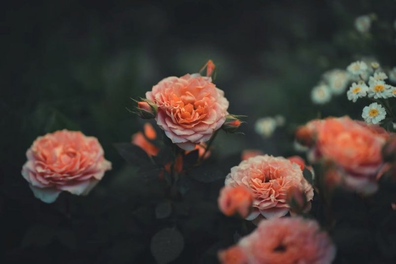 Тематическое фото Unsplash.com