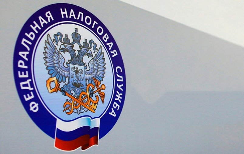 На смену ИНН придет выписка из ЕГРН УФНС России по Амурской области