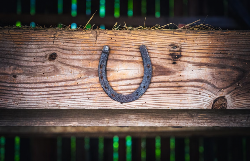 Тематическое фото unsplash.com (18+)