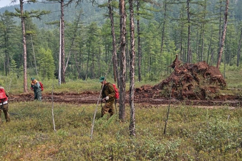 Лесной пожар пресс-службы Минприроды Забайкалья
