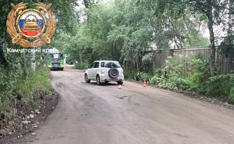 Двое пешеходов пострадали в ДТП в Елизовском районе на выходных Пресс-служба Госавтоинспекции Камчатского края