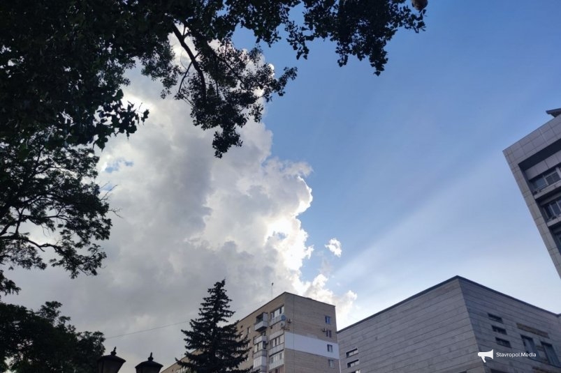 Ставрополь ИА Stavropol.Media