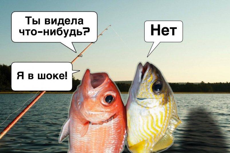 Рыбалка, удочка, рыба Коллаж на основе unsplash.com