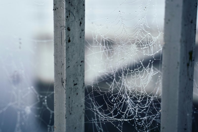 Тематическое фото unsplash.com