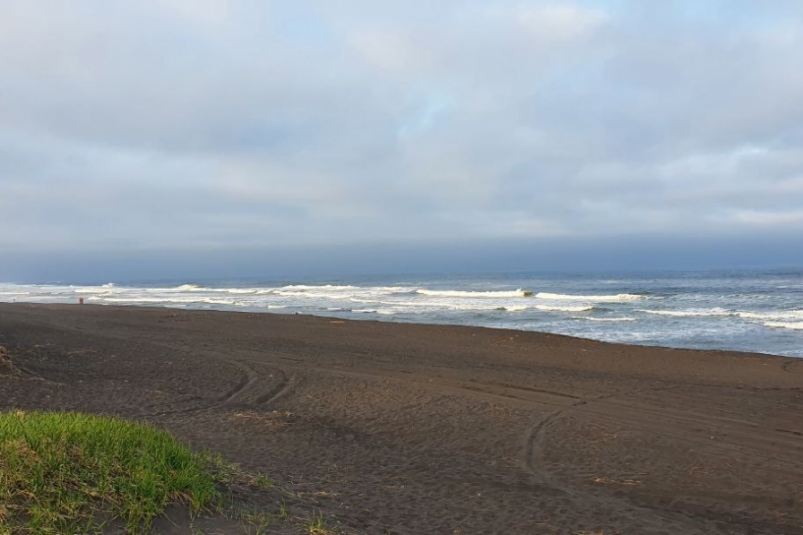Халактырский пляж ИА KamchatkaMedia