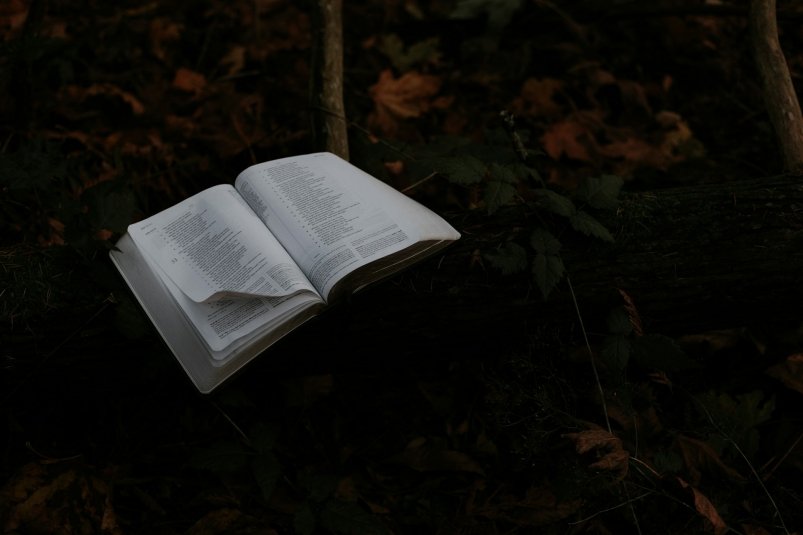 Тест unsplash.com