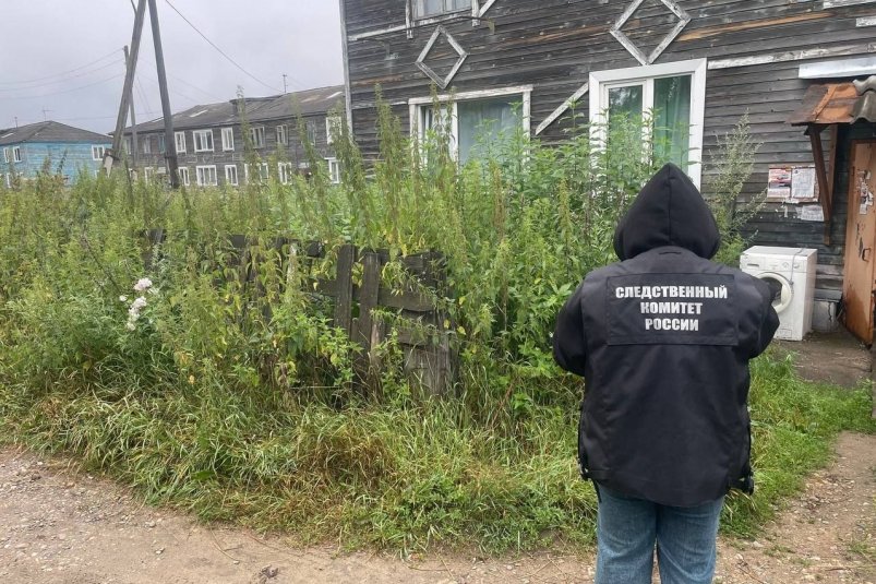 . пресс-служба ГСУ СК России по Красноярскому краю и Республике Хакасия